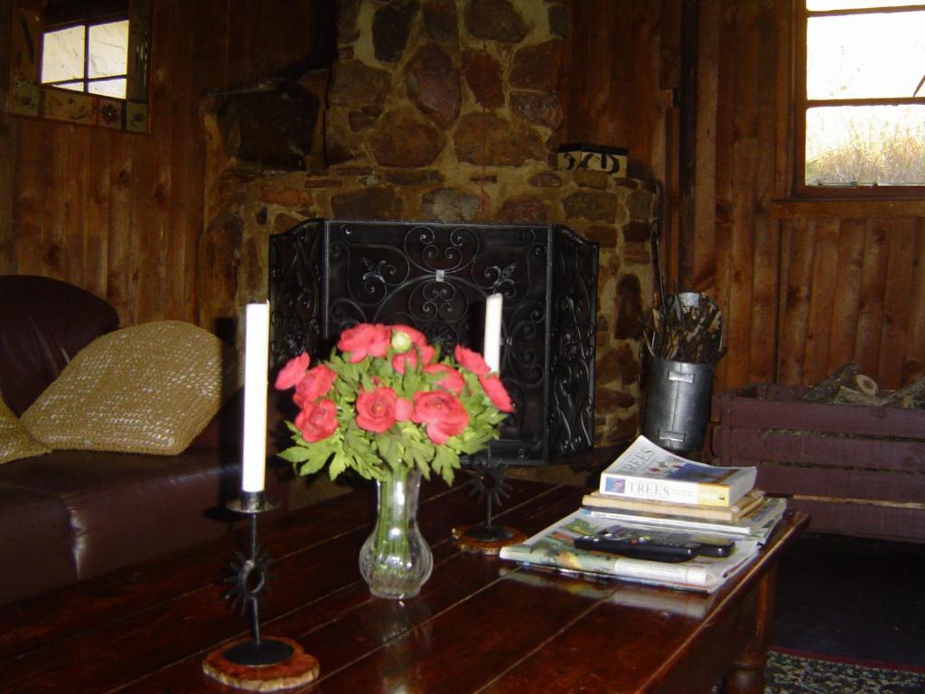 Forest Creek Lodge&Spa Dullstroom Habitación foto