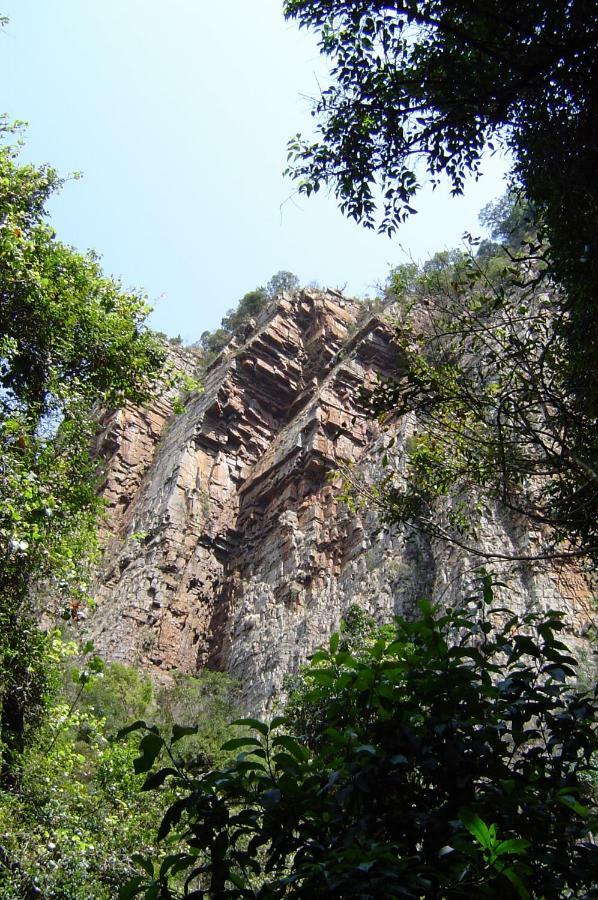 Forest Creek Lodge&Spa Dullstroom Exterior foto